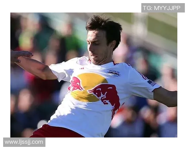 全球最帅3号足球球星榜单,颜值与实力并存的足球巨星们 全球最帅3号足球球星榜单,颜值与实力并存的足球巨星们